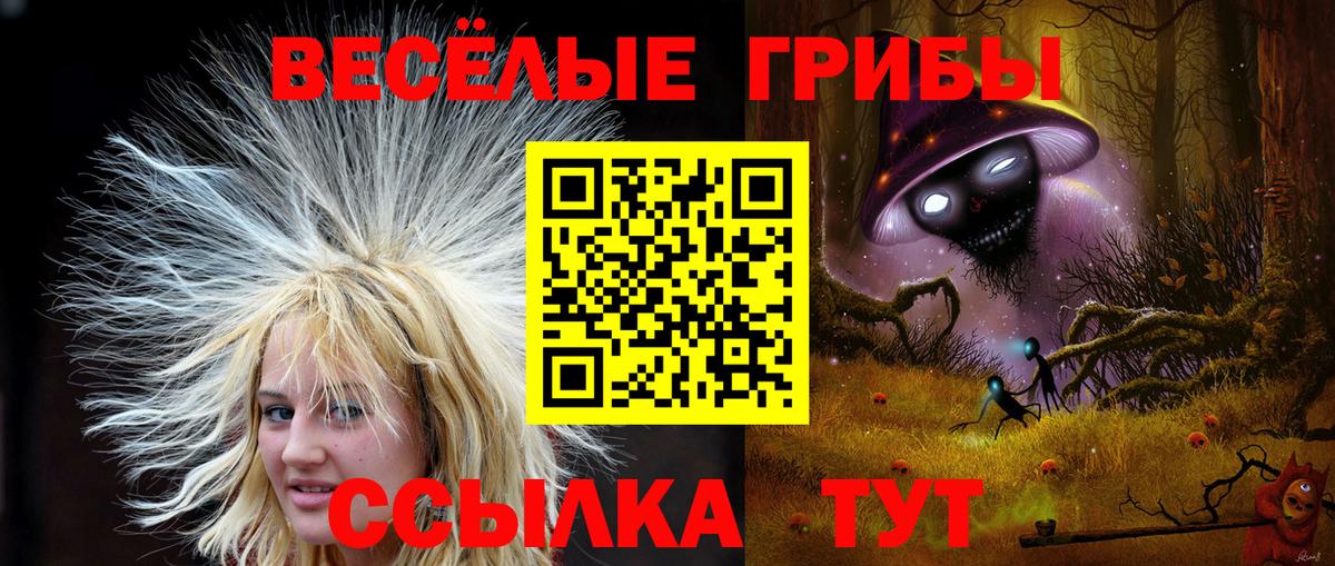 Галлюциногенные грибы Magic Shrooms Видное